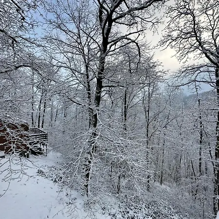 Wood House Chalet Blaimont