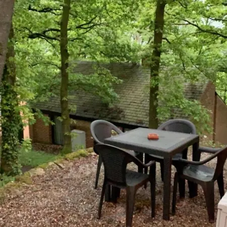 Chalet Wood House Blaimont